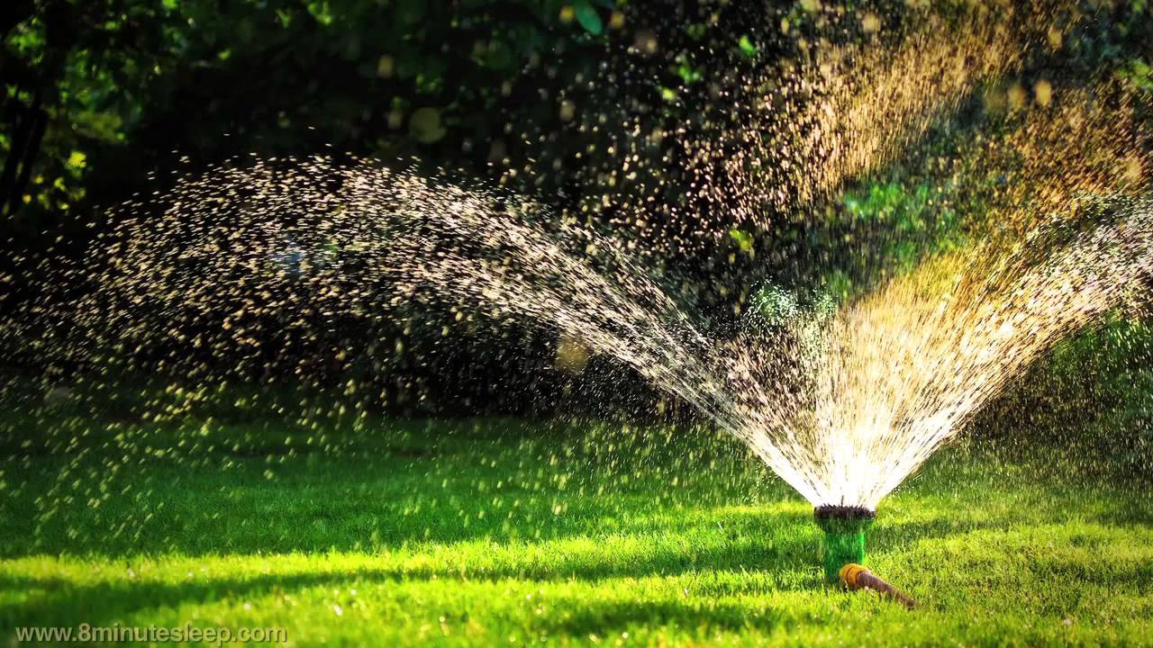 Arrosage automatique sur l'herbe