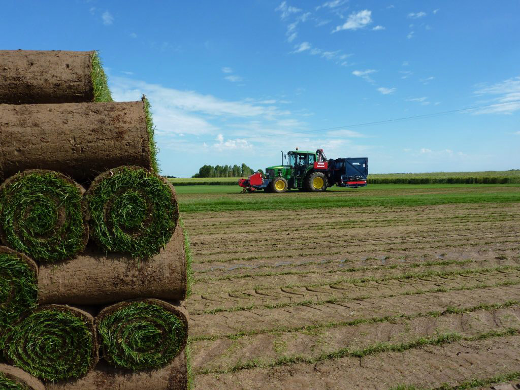 Déplaqueuse et rouleaux de gazon