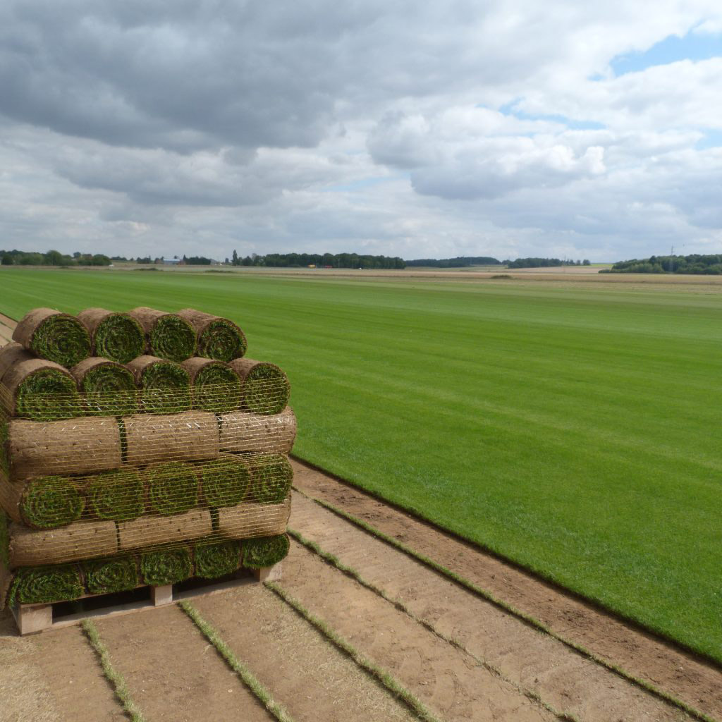 Gazon de placage en rouleau Espace Gazon