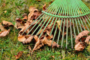 Rateau pour ratisser les feuilles mortes