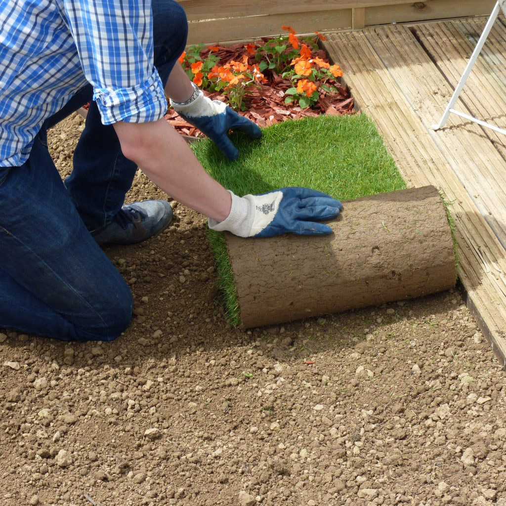 Gazon de placage en rouleau Espace Gazon