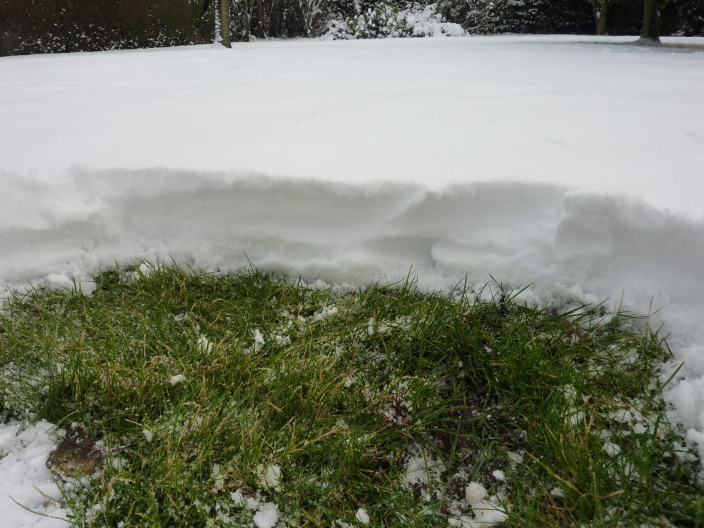 Neige épaisse recouvrant une pelouse