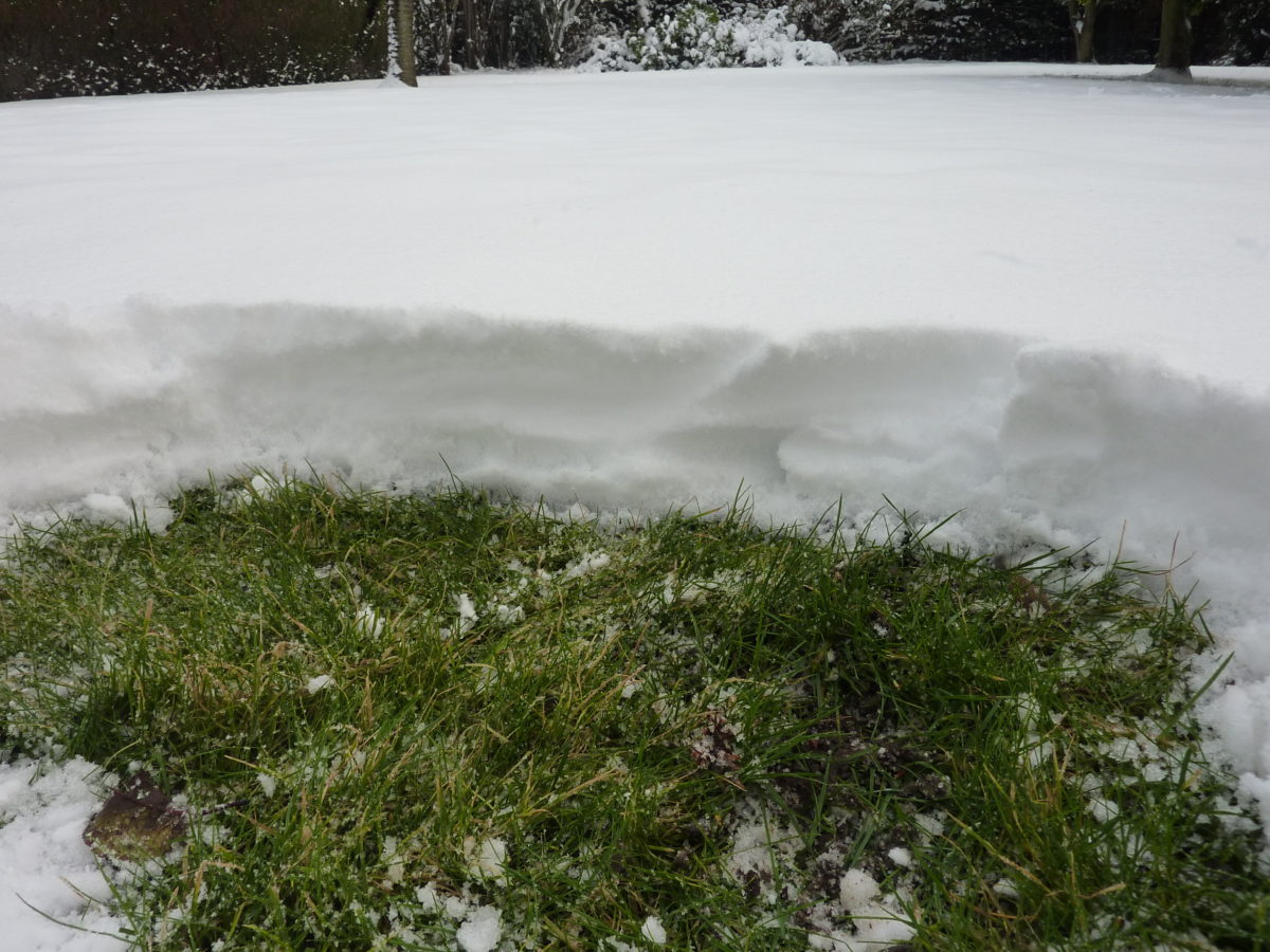 Que c’est joli un jardin bien enneigé !