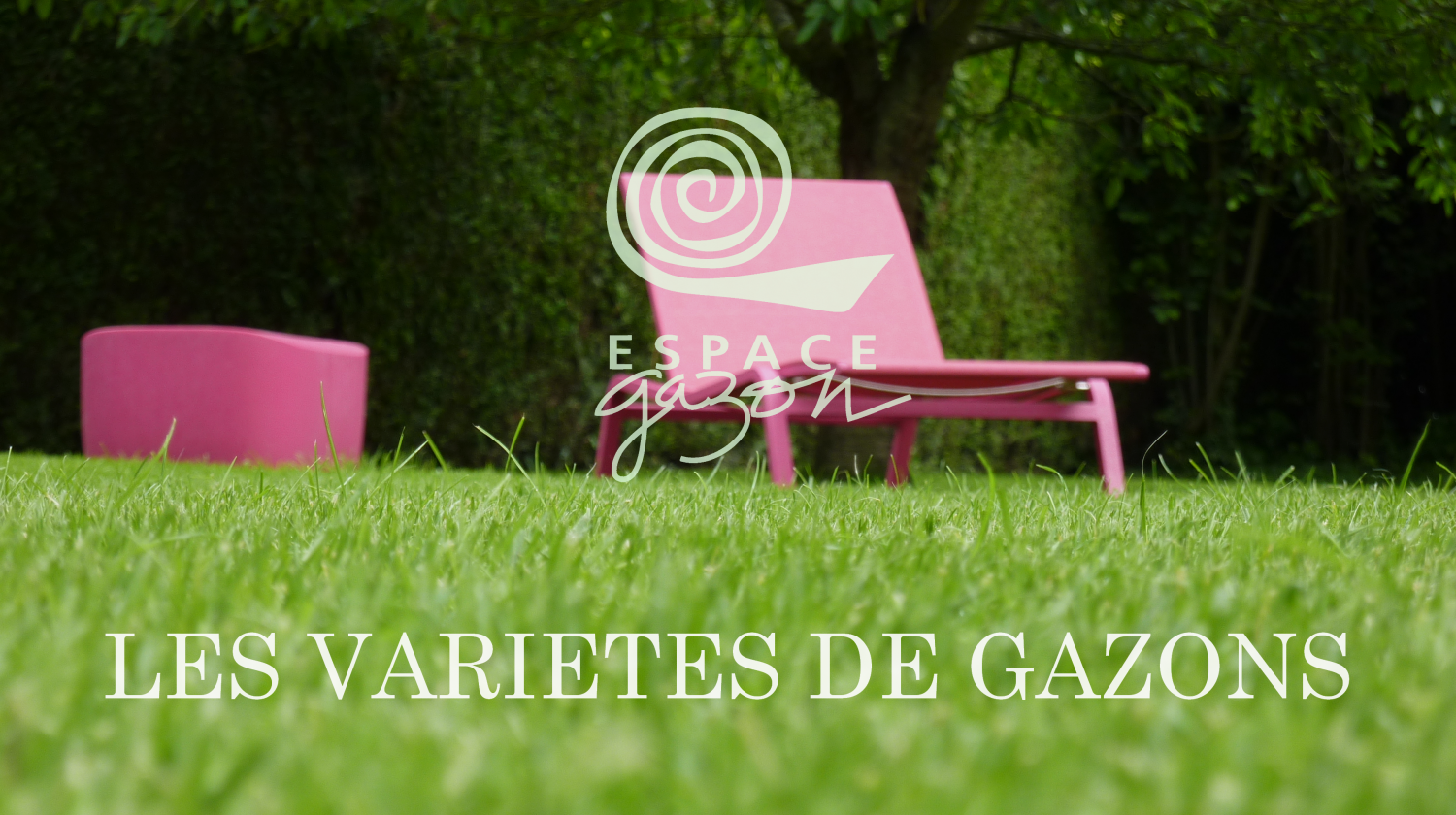 Pelouse et mobilier de jardin